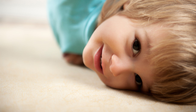 Broomfield and Devner Carpet Cleaning Process
